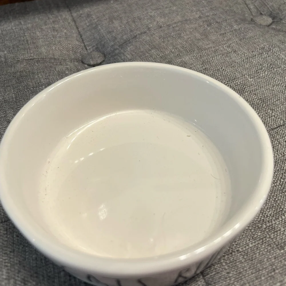 Rae Dunn Cats Rule White Pet Bowl